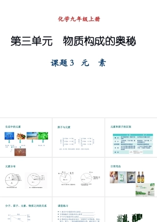 （新课程）2013年秋九年级化学上册 课题3 元素（第1课时）课件 （新版）新人教版