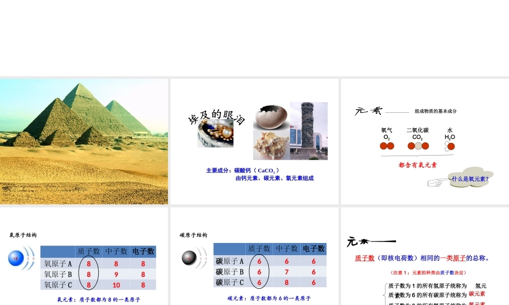 （新课程）2013年秋九年级化学上册 课题3 元素1课件 （新版）新人教版