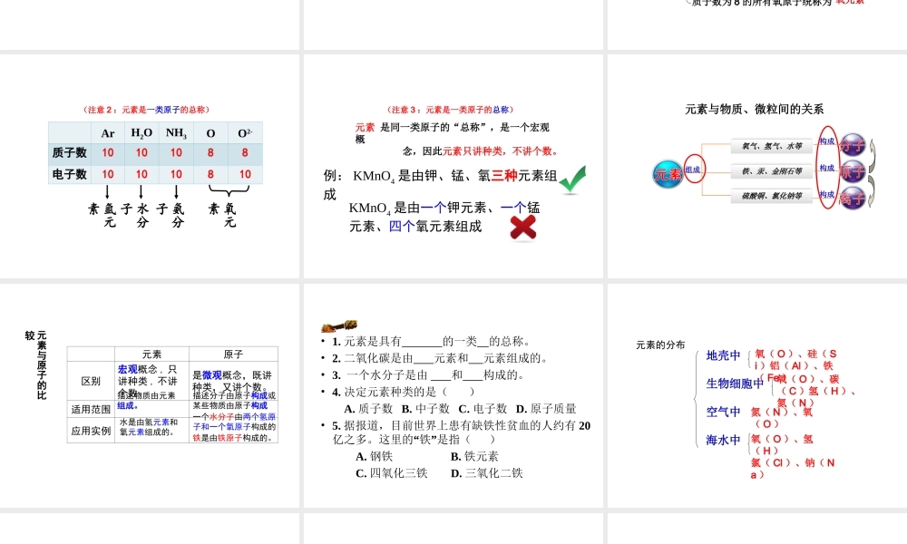 （新课程）2013年秋九年级化学上册 课题3 元素1课件 （新版）新人教版