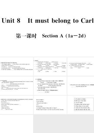 （武汉专版）秋九年级英语全册 Unit 8 It must belong to Carla第一课时习题课件（新版）人教新目标版-（新版）人教新目标版初中九年级全册英语课件