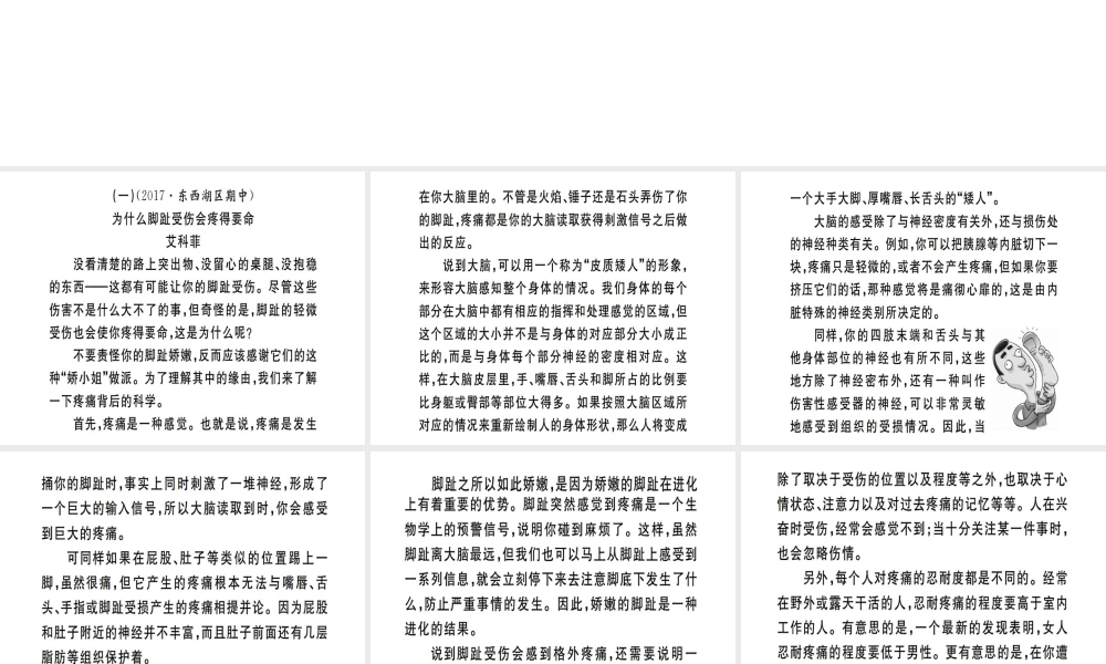 （武汉专用）八年级语文上册 专题六 实用文阅读习题课件 新人教版-新人教版初中八年级上册语文课件