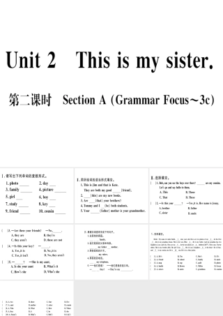 （武汉专版）秋七年级英语上册 Unit 2 This is my sister（第2课时）习题课件 （新版）人教新目标版-（新版）人教新目标版初中七年级上册英语课件