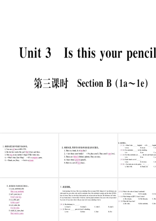 （武汉专版）秋七年级英语上册 Unit 3 Is this your pencil（第3课时）习题课件 （新版）人教新目标版-（新版）人教新目标版初中七年级上册英语课件