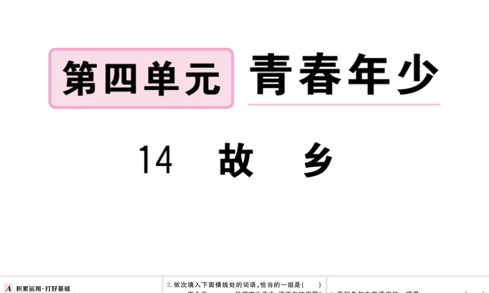 （武汉专版）秋九年级语文上册 第四单元 14故乡习题课件 新人教版-新人教版初中九年级上册语文课件