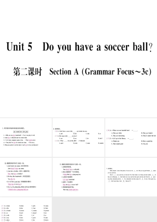 （武汉专版）秋七年级英语上册 Unit 5 Do you have a soccer ball（第2课时）习题课件 （新版）人教新目标版-（新版）人教新目标版初中七年级上册英语课件