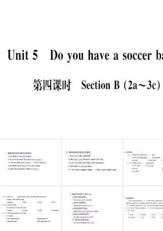 （武汉专版）秋七年级英语上册 Unit 5 Do you have a soccer ball（第4课时）习题课件 （新版）人教新目标版-（新版）人教新目标版初中七年级上册英语课件