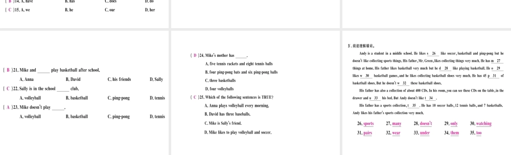 （武汉专版）秋七年级英语上册 Unit 5 Do you have a soccer ball组合练习题课件 （新版）人教新目标版-（新版）人教新目标版初中七年级上册英语课件