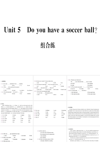 （武汉专版）秋七年级英语上册 Unit 5 Do you have a soccer ball组合练习题课件 （新版）人教新目标版-（新版）人教新目标版初中七年级上册英语课件