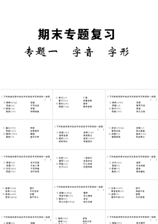 （武汉专版）秋九年级语文上册 期末专题复习一 字音 字形习题课件 新人教版-新人教版初中九年级上册语文课件