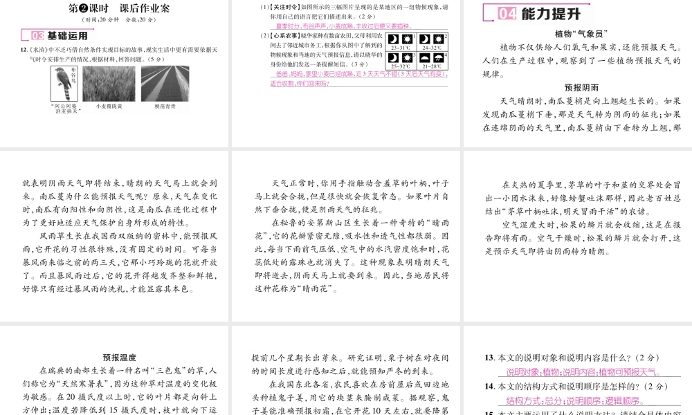 （毕节专版）八年级语文下册 第二单元 5 大自然的语言课件 新人教版-新人教版初中八年级下册语文课件