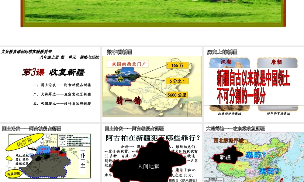 （水滴系列）八年级历史上册 第3课《收复新疆》课件 新人教版-新人教版初中八年级上册历史课件