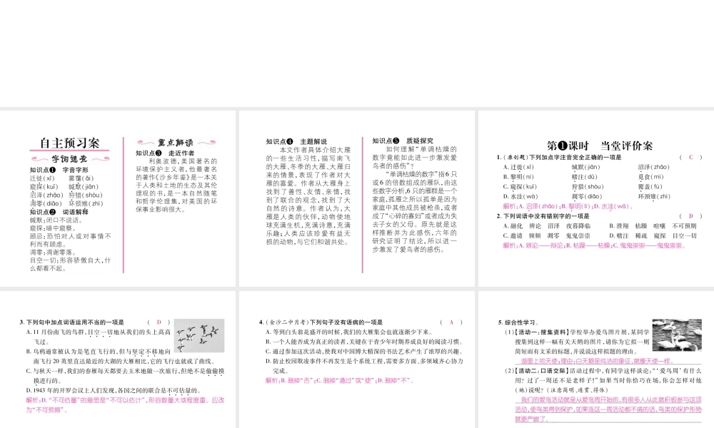 （毕节专版）八年级语文下册 第二单元 7 大雁归来课件 新人教版-新人教版初中八年级下册语文课件