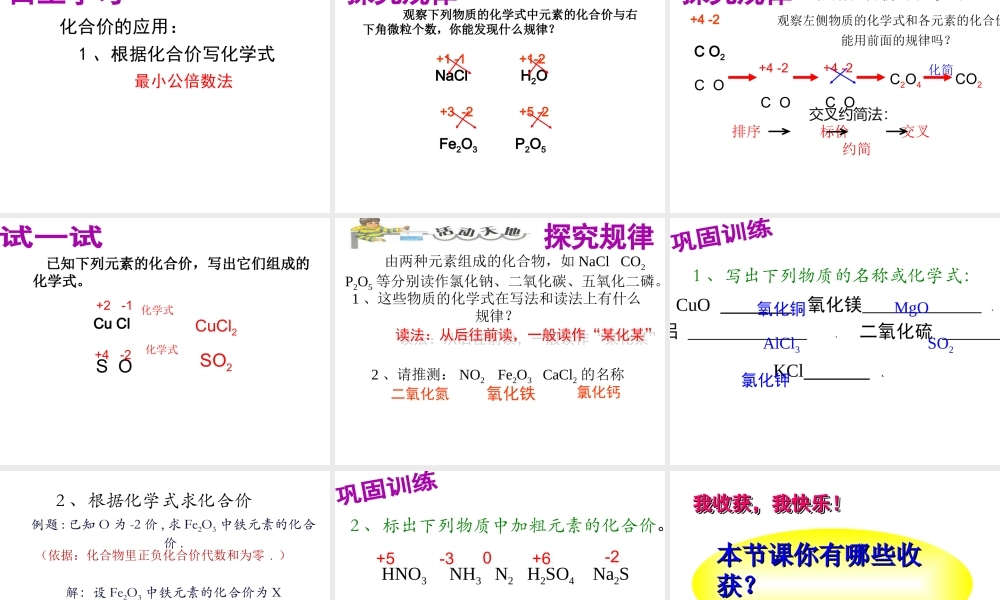 （水滴系列）九年级化学上册 4.2 物质组成的表示（第2课时）课件 （新版）鲁教版-（新版）鲁教版初中九年级上册化学课件