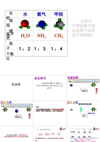 （水滴系列）九年级化学上册 4.2 物质组成的表示（第2课时）课件 （新版）鲁教版-（新版）鲁教版初中九年级上册化学课件