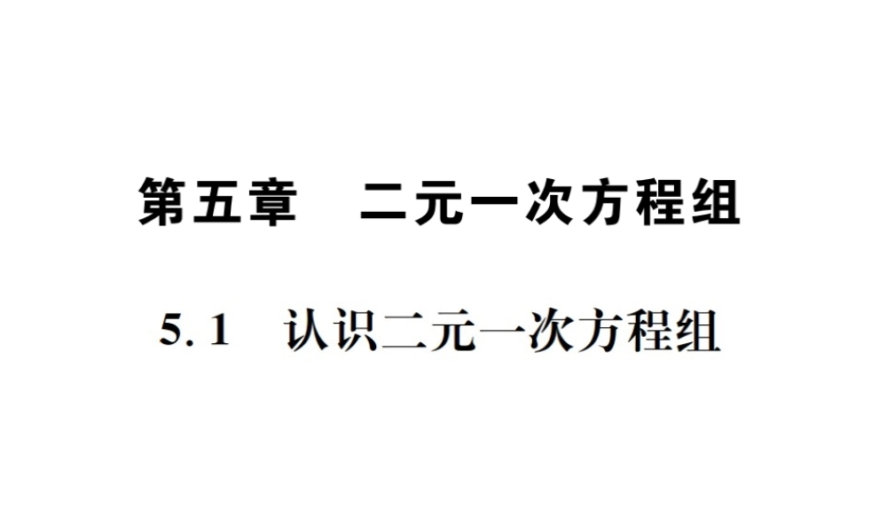 （毕节地级数学上册 5.1 认识二元一次方程组作业课件 （新版）北师大版-（新版）北师大级上册数学课件