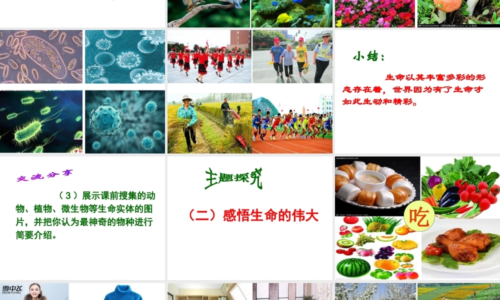 （水滴系列）（2016年秋季版）七年级道德与法治下册 第15课 呵护宝贵的生命 第1框 世界因生命而精彩课件 鲁人版六三制