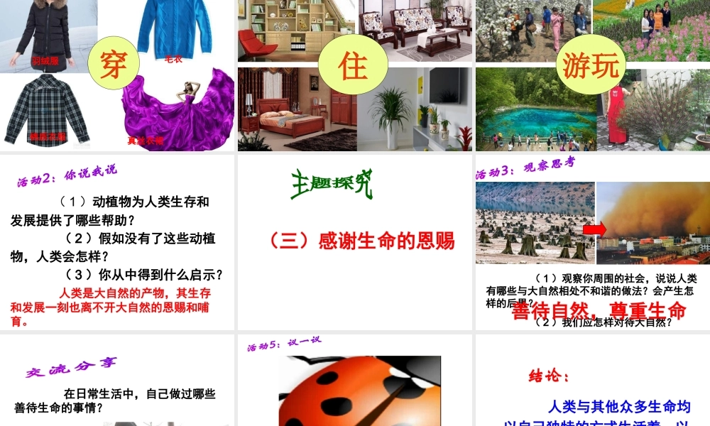 （水滴系列）（2016年秋季版）七年级道德与法治下册 第15课 呵护宝贵的生命 第1框 世界因生命而精彩课件 鲁人版六三制