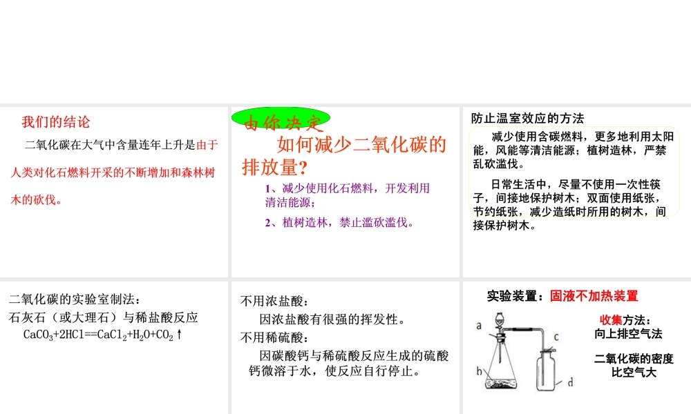 （水滴系列）九年级化学上册 6.3 大自然中的二氧化碳课件2 （新版）鲁教版-（新版）鲁教版初中九年级上册化学课件