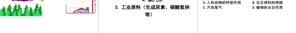 （水滴系列）九年级化学上册 6.3 大自然中的二氧化碳课件2 （新版）鲁教版-（新版）鲁教版初中九年级上册化学课件
