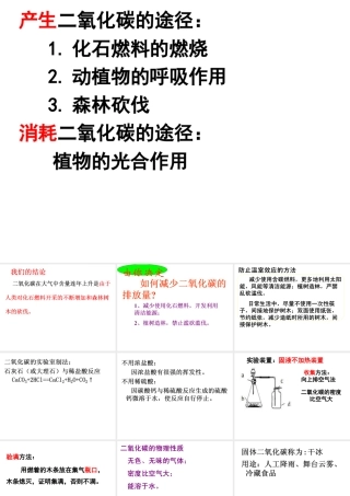 （水滴系列）九年级化学上册 6.3 大自然中的二氧化碳课件2 （新版）鲁教版-（新版）鲁教版初中九年级上册化学课件