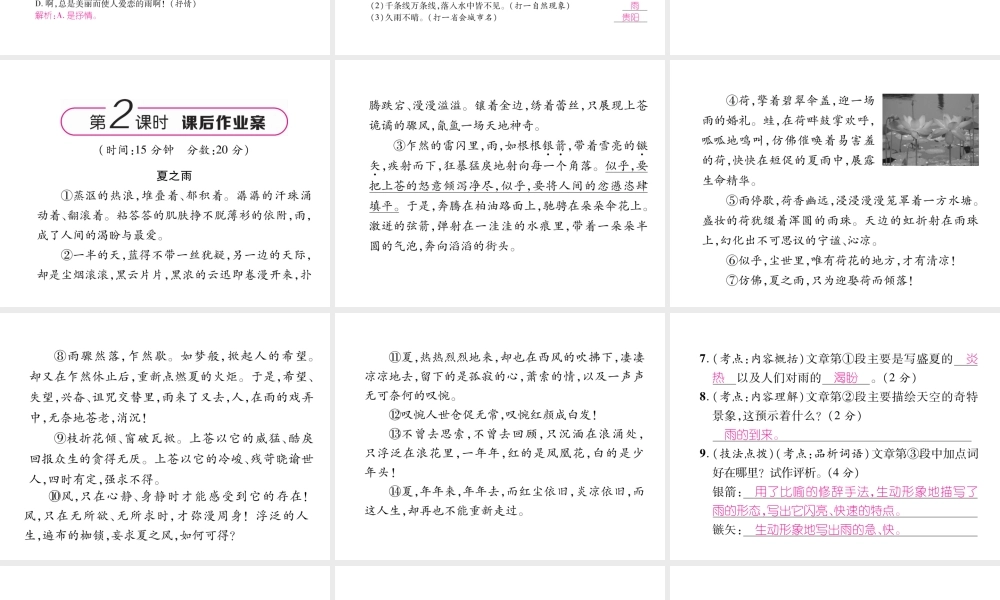 （毕节地区）七年级语文上册 第1单元 3雨的四季习题课件 新人教版-新人教版初中七年级上册语文课件