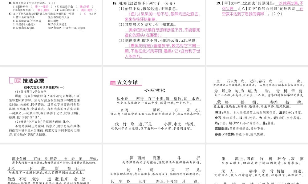 （毕节专版）八年级语文下册 第三单元 10 小石潭记（古文今译）课件 新人教版-新人教版初中八年级下册语文课件