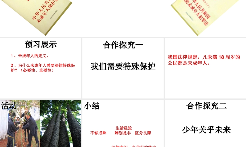 （水滴系列）（2016年秋季版）七年级道德与法治下册 第九单元 撑起法律保护伞 第17课 我们受法律特殊保护 第1框《特殊的我们特殊的保护》课件 鲁人版六三制