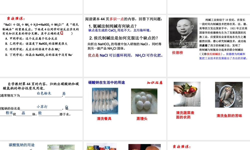 （水滴系列）九年级化学下册 8.3 海水“制碱 ”课件 （新版）鲁教版-（新版）鲁教版初中九年级下册化学课件