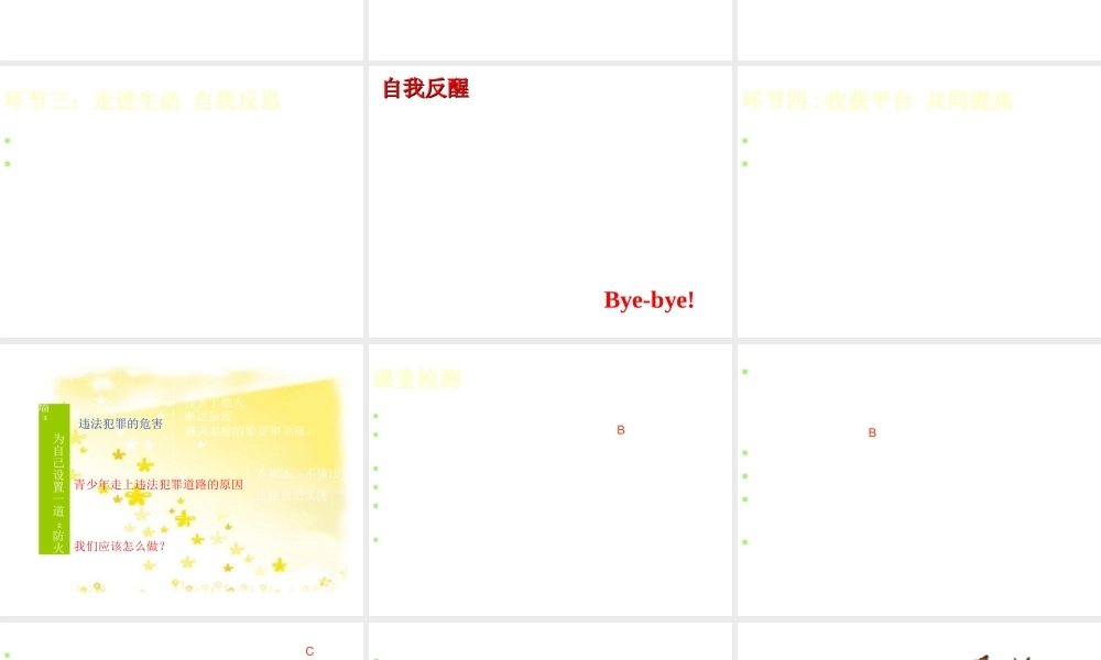 （水滴系列）（2016年秋季版）七年级道德与法治下册 第九单元 撑起法律保护伞 第18课 让法律为成长护航 第2框 为自己设置一道“防火墙”课件 鲁人版六三制