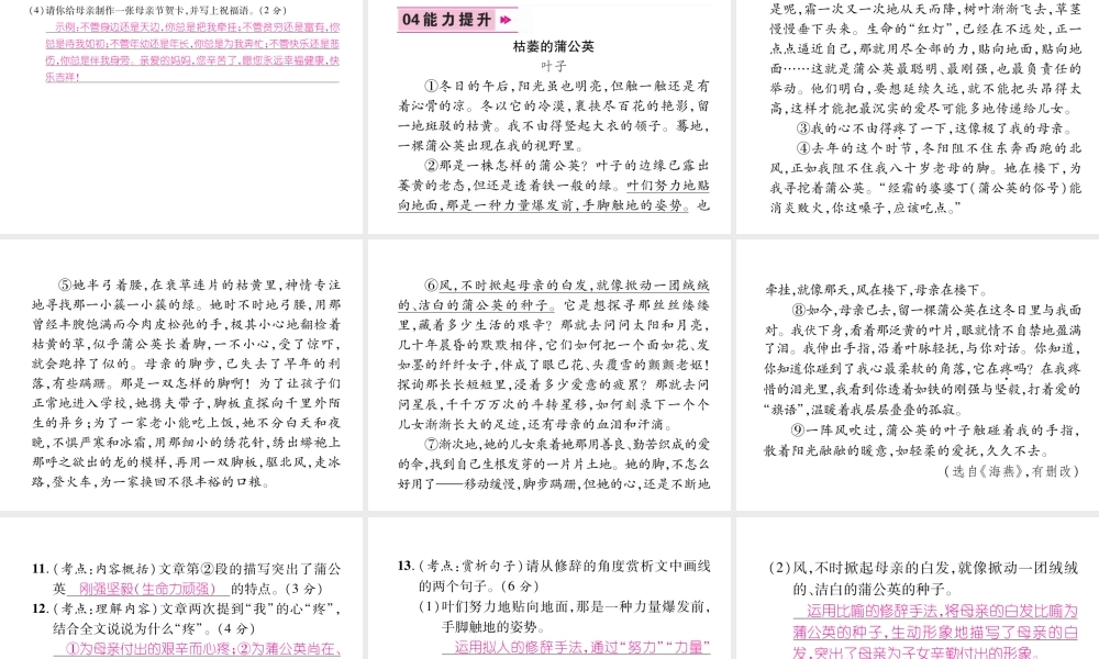 （毕节地区）七年级语文上册 第2单元 5秋天的怀念习题课件 新人教版-新人教版初中七年级上册语文课件