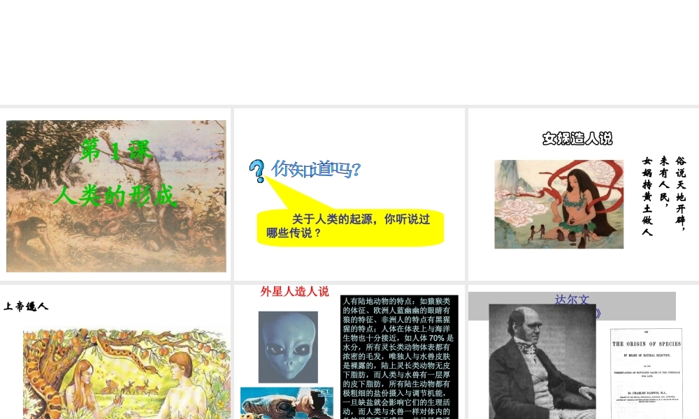 （水滴系列）九年级历史上册 第1课 人类的形成课件 新人教版