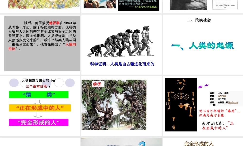 （水滴系列）九年级历史上册 第1课 人类的形成课件 新人教版