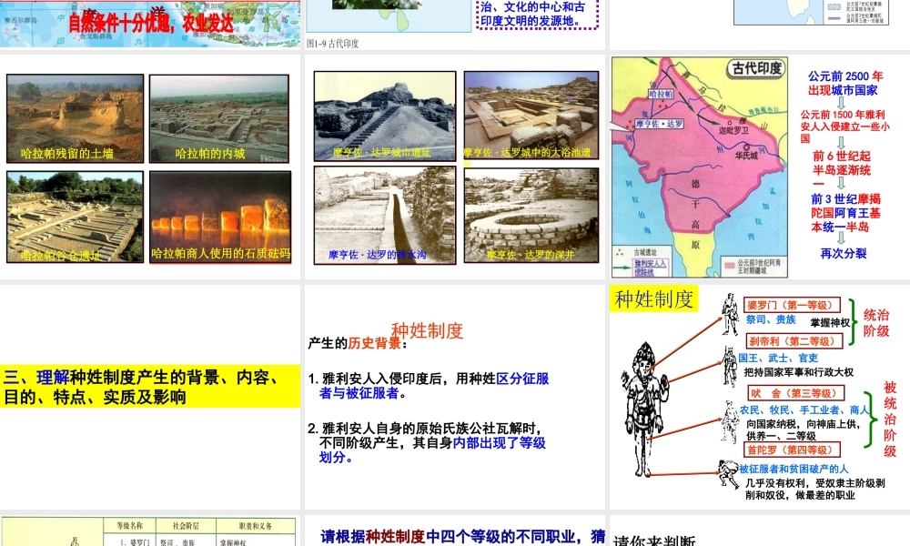 （水滴系列）九年级历史上册 第2课 大河流域—人类文明的摇篮 第3课时：古代印度课件 新人教版