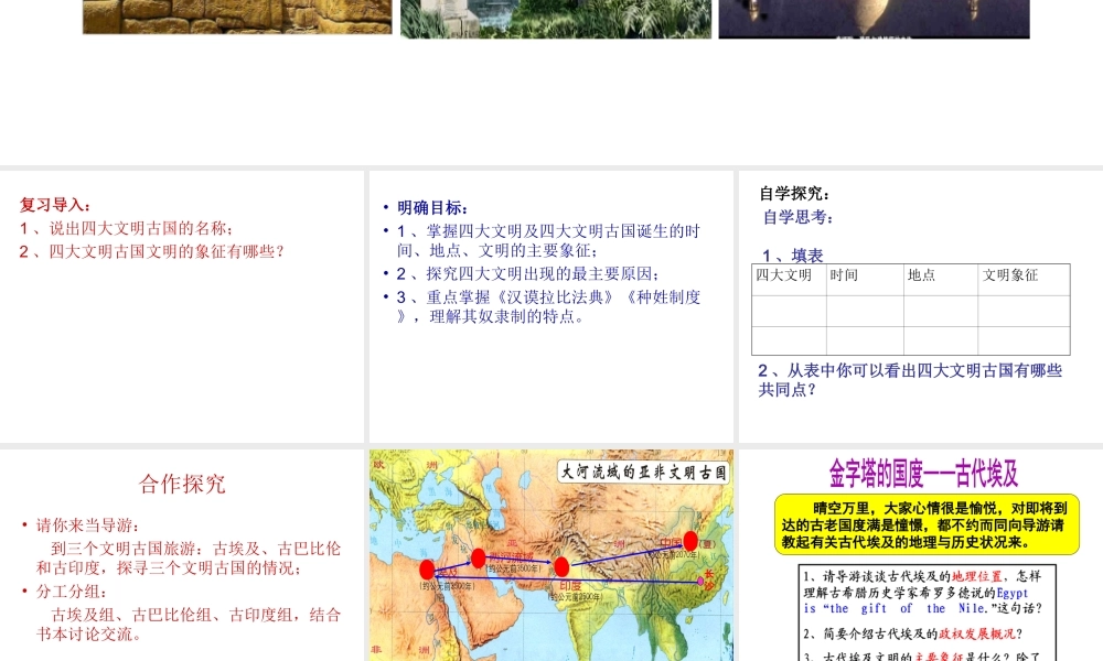 （水滴系列）九年级历史上册 第2课 大河流域—人类文明的摇篮复习课件 新人教版