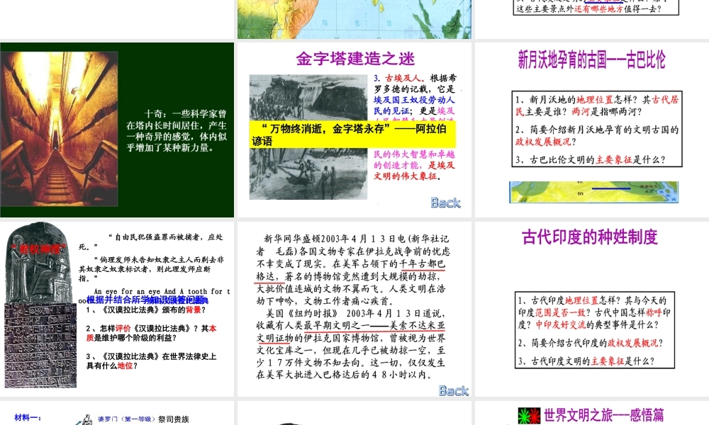 （水滴系列）九年级历史上册 第2课 大河流域—人类文明的摇篮复习课件 新人教版