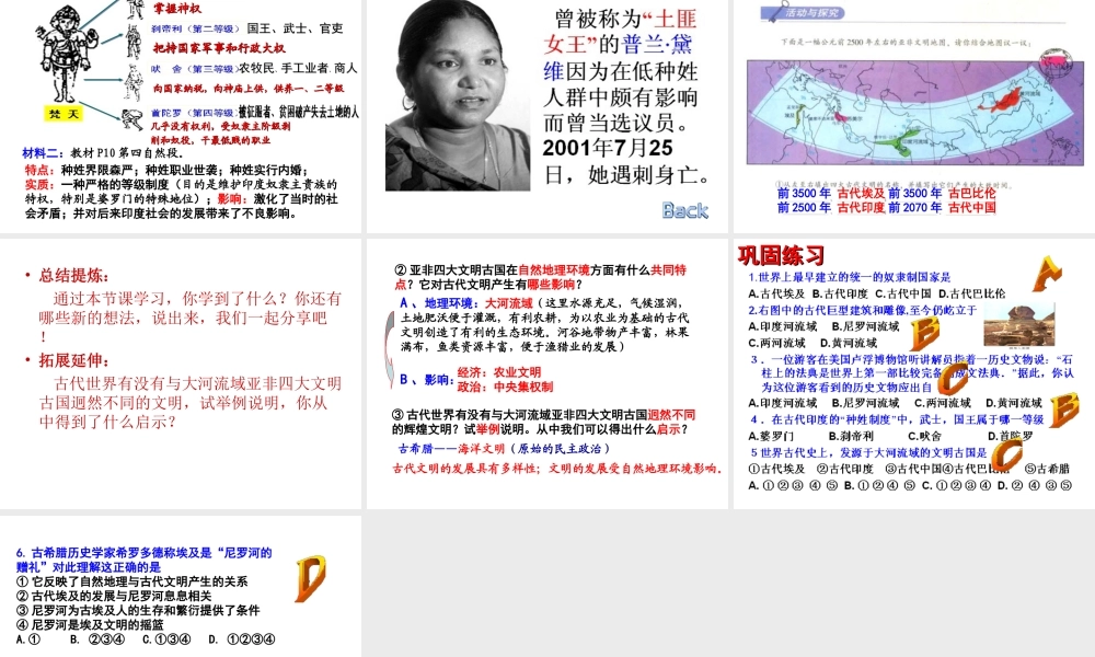 （水滴系列）九年级历史上册 第2课 大河流域—人类文明的摇篮复习课件 新人教版