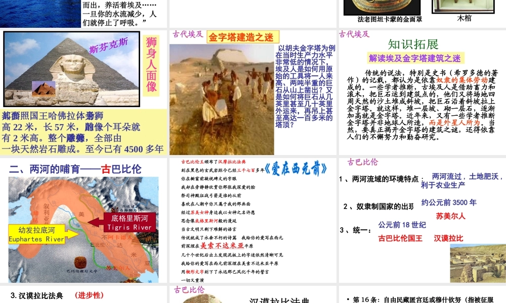 （水滴系列）九年级历史上册 第2课 大河流域—人类文明的摇篮课件 新人教版