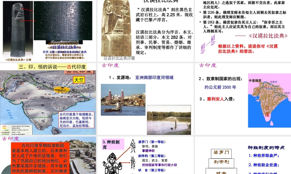 （水滴系列）九年级历史上册 第2课 大河流域—人类文明的摇篮课件 新人教版