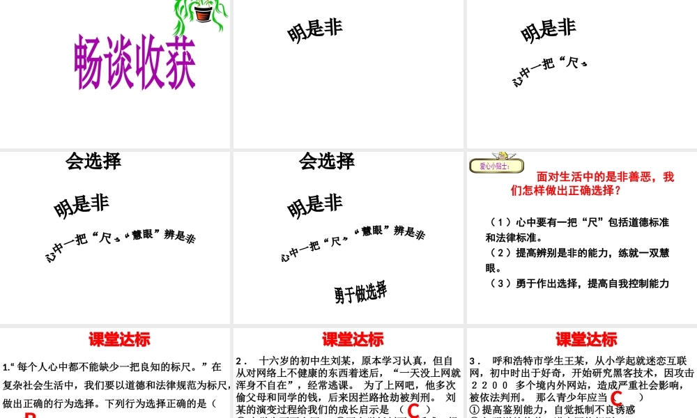 （水滴系列）（2016年秋季版）七年级道德与法治下册 第十单元 在社会生活中学会选择 第20课 做理智的选择者 第2框 明是非 会选择课件 鲁人版六三制