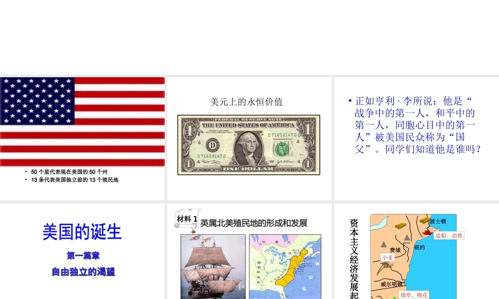 （水滴系列）九年级历史上册 第12课《美国的诞生》课件 新人教版