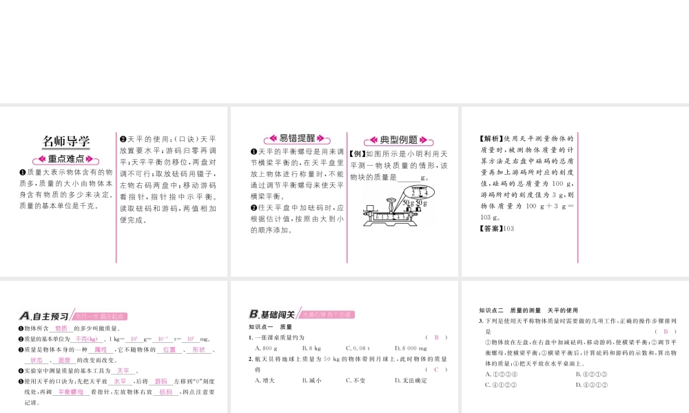 （毕节专版）秋八年级物理上册 第六章 第1节 质量习题课件 （新版）人教版-人教版初中八年级上册物理课件