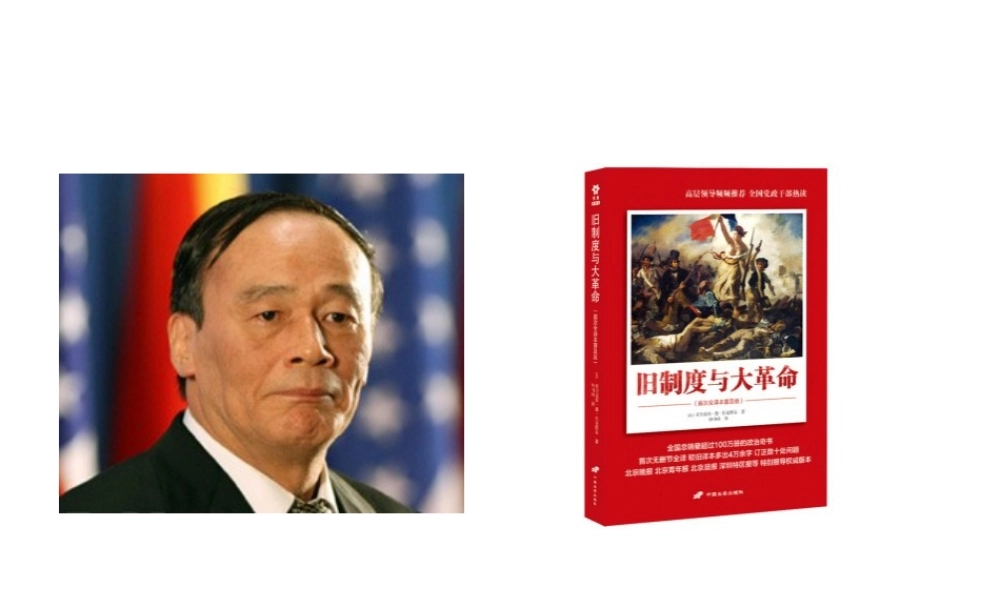 （水滴系列）九年级历史上册 第13课《法国大革命和拿破仑帝国》课件 新人教版