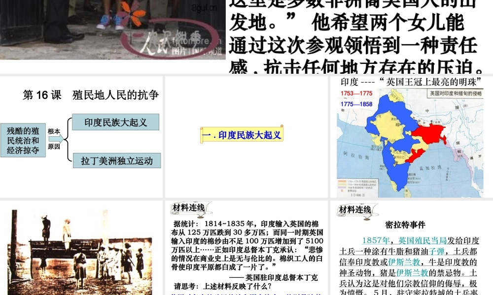（水滴系列）九年级历史上册 第16课《殖民地人民的抗争》课件 新人教版-新人教版初中九年级上册历史课件