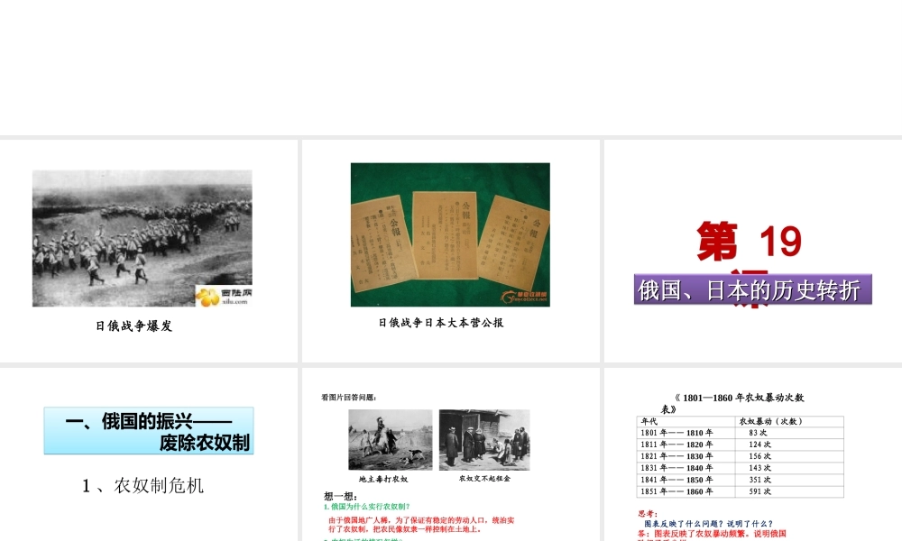 （水滴系列）九年级历史上册 第19课 俄国、日本的历史转折课件 新人教版