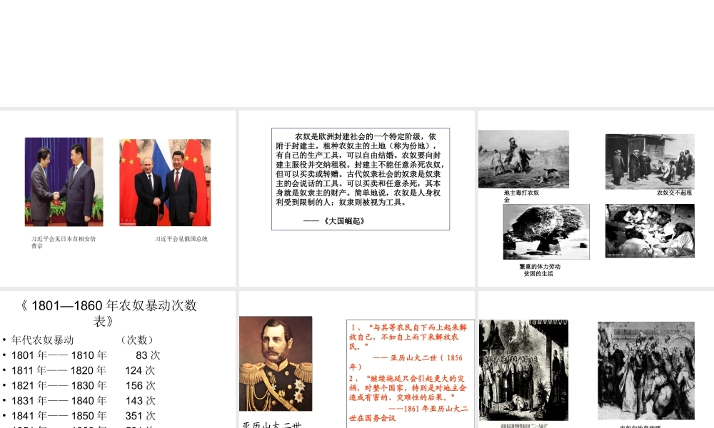（水滴系列）九年级历史上册 第19课《俄国、日本的历史转折》课件 新人教版-新人教版初中九年级上册历史课件