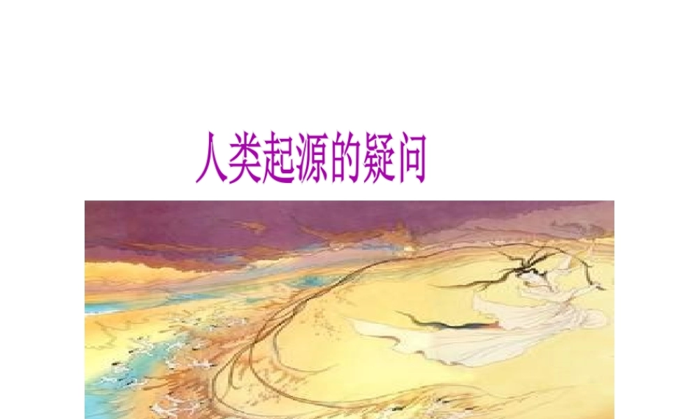 （水滴系列）（2016年秋季版）七年级历史上册 第1课 中国早期人类的代表—北京人课件 新人教版