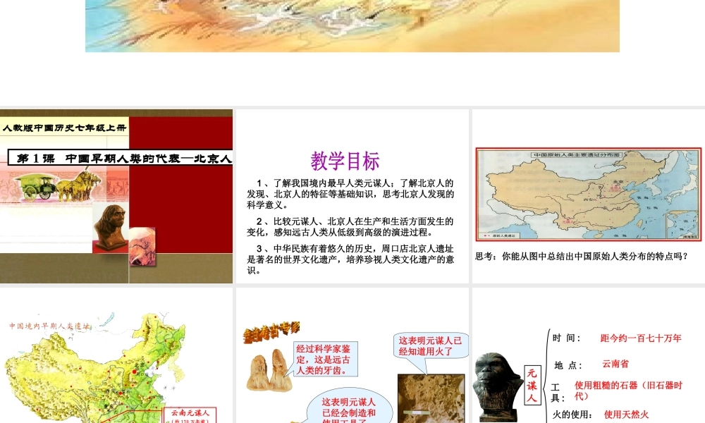 （水滴系列）（2016年秋季版）七年级历史上册 第1课 中国早期人类的代表—北京人课件 新人教版