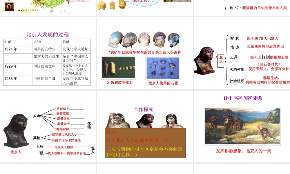 （水滴系列）（2016年秋季版）七年级历史上册 第1课 中国早期人类的代表—北京人课件 新人教版