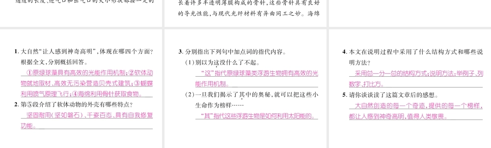 （毕节专版）八年级语文下册 双休作业3课件 新人教版-新人教版初中八年级下册语文课件