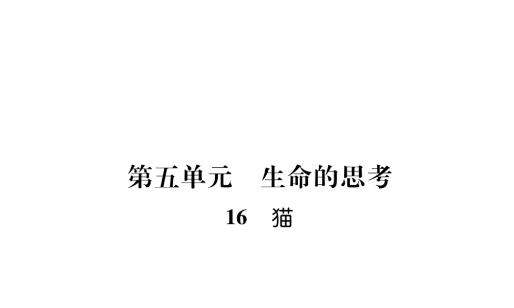 （毕节地区）七年级语文上册 第5单元 16 猫习题课件 新人教版-新人教版初中七年级上册语文课件
